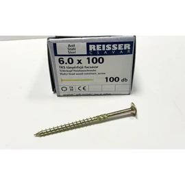 Szerkezetépítő csavar (tányérfejű) - Reisser 6 x 100 mm
