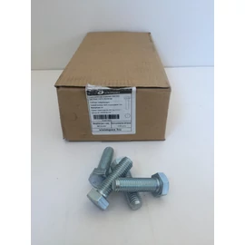 Metrikus csavar hatlapfejű horganyzott, 8.8. M12 x  40 mm