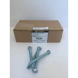 Metrikus csavar hatlapfejű horganyzott, 8.8. M10 x 100 mm